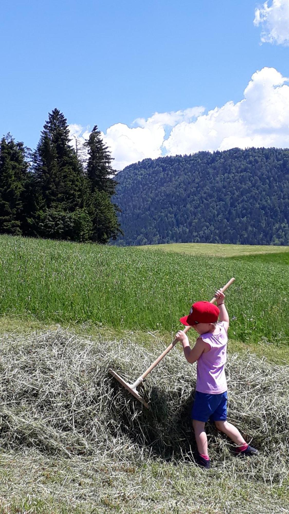 Ferienhof Duerlinde Hittisau Εξωτερικό φωτογραφία