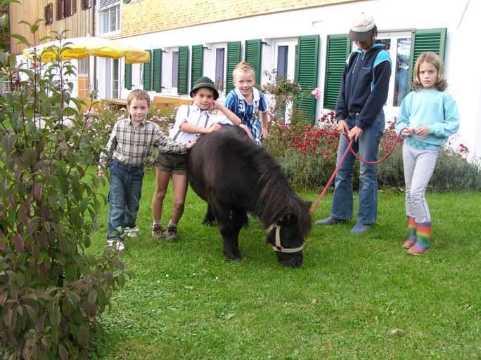 Ferienhof Duerlinde Hittisau Εξωτερικό φωτογραφία