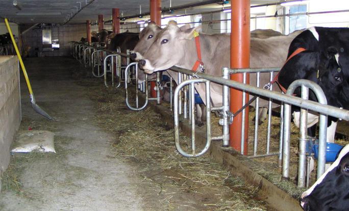 Ferienhof Duerlinde Hittisau Εξωτερικό φωτογραφία